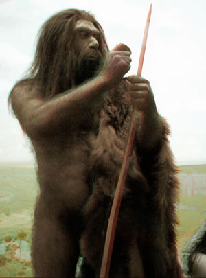Homem de Neanderthal (Homo Neanderthalensis)